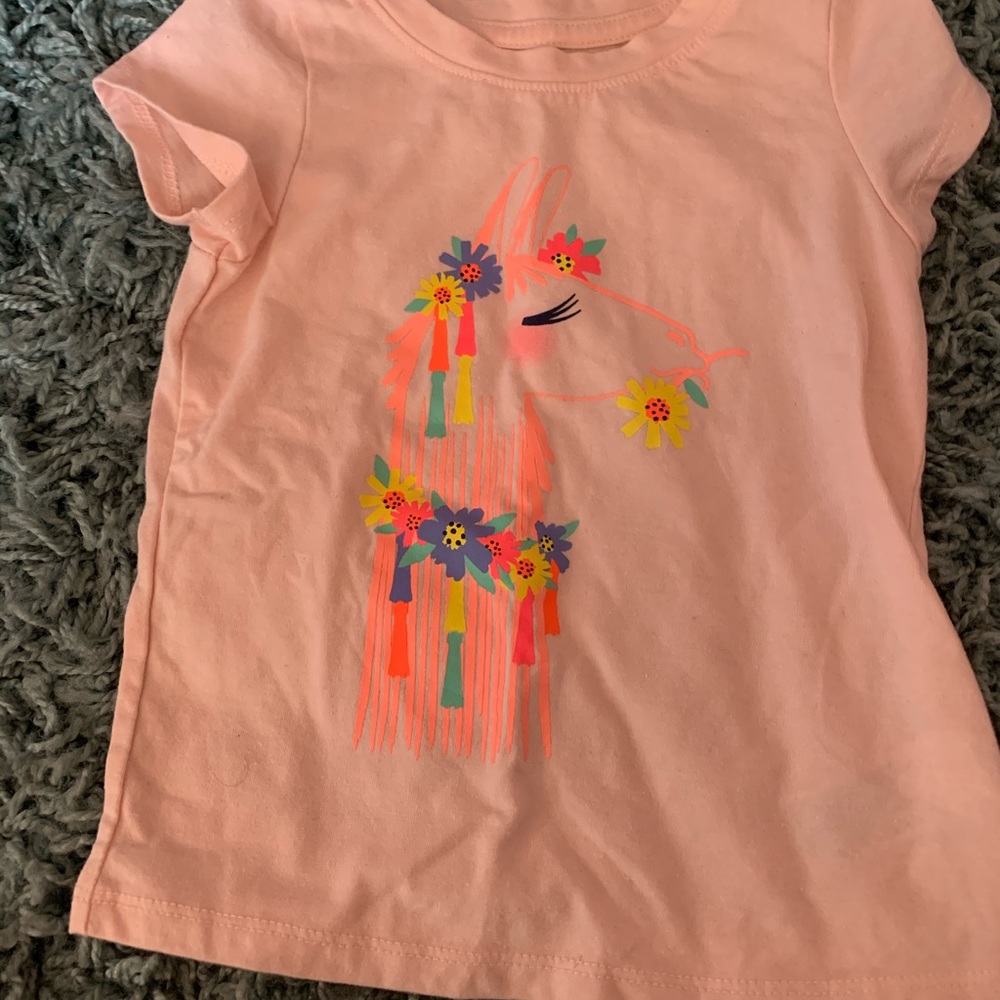 Toddler girl 2T Bundle - Picture 4 of 5
